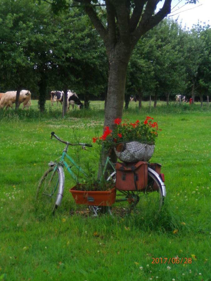 Camping Du Creulet Crouay Kültér fotó