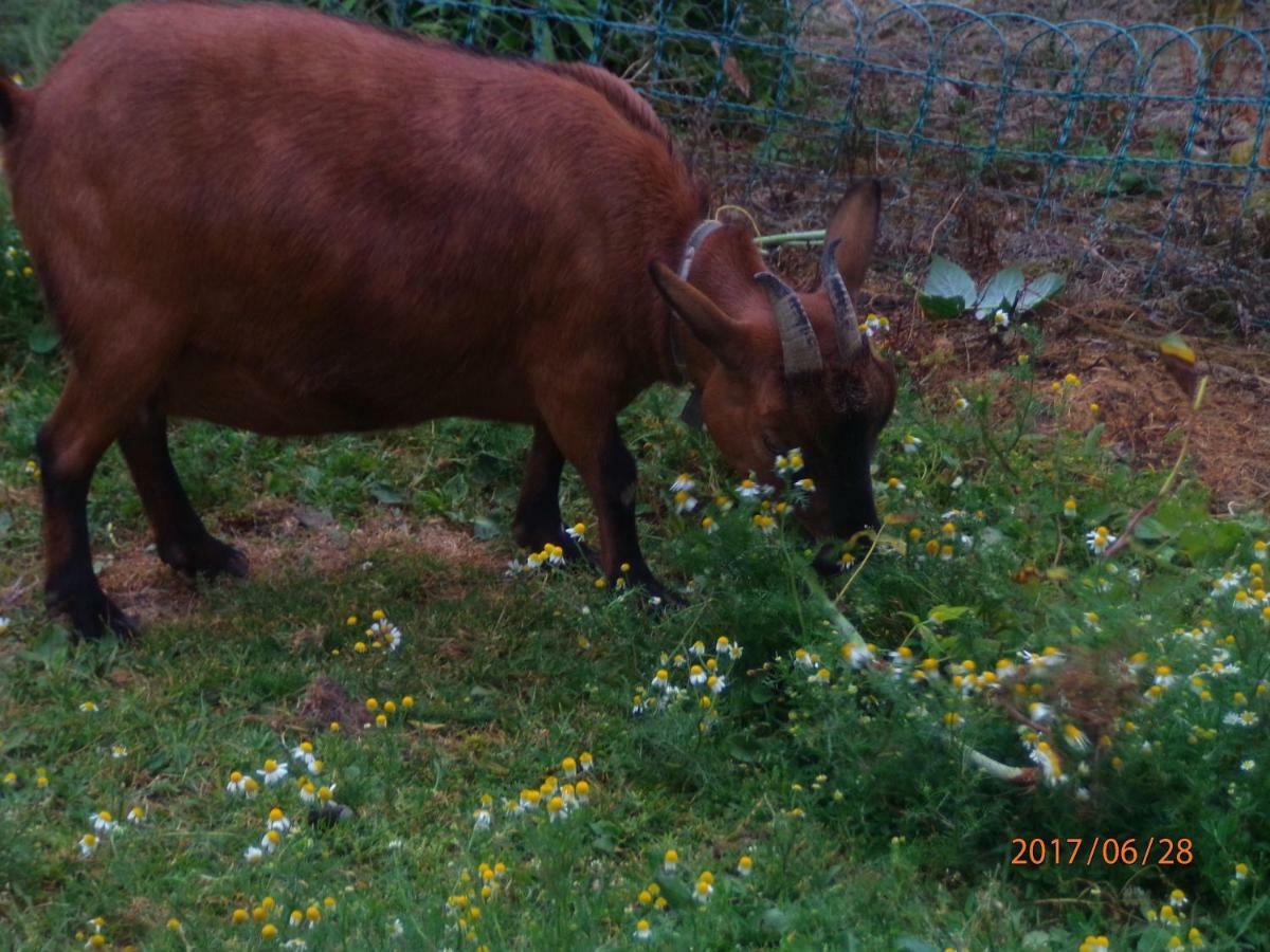 Camping Du Creulet Crouay Kültér fotó